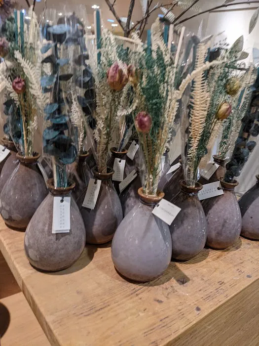 Anthropologie 3