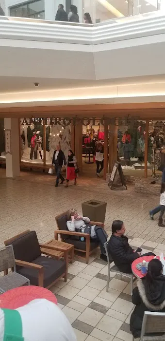Anthropologie 5