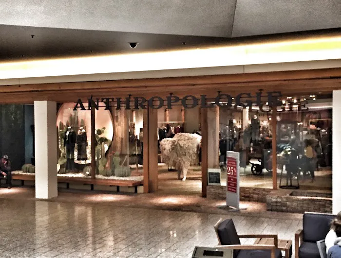 Anthropologie 7