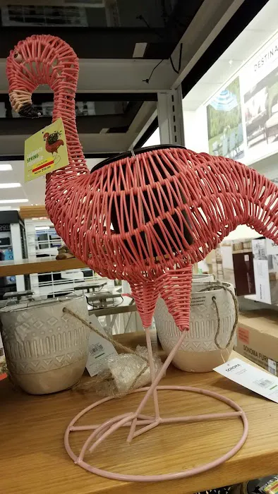 Kohl's 0