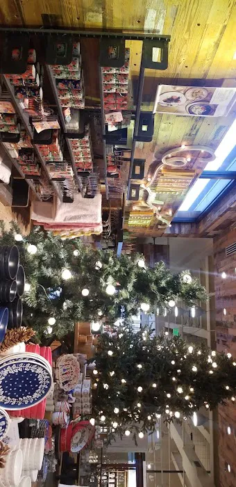 Anthropologie 1
