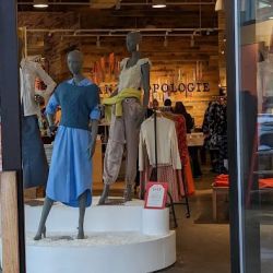 Anthropologie ico