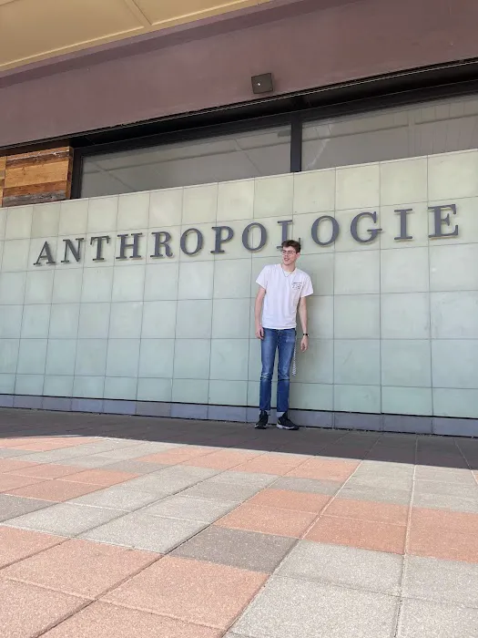 Anthropologie 2