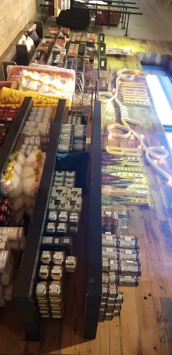 Anthropologie 5