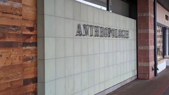 Anthropologie 3