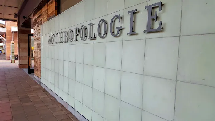 Anthropologie 6