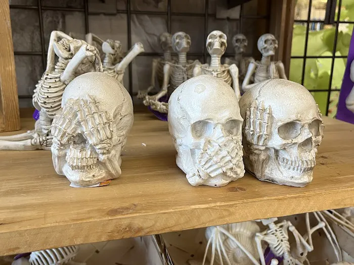 World Market 1