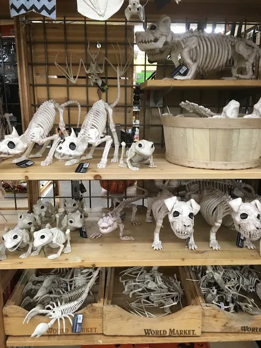 World Market 9