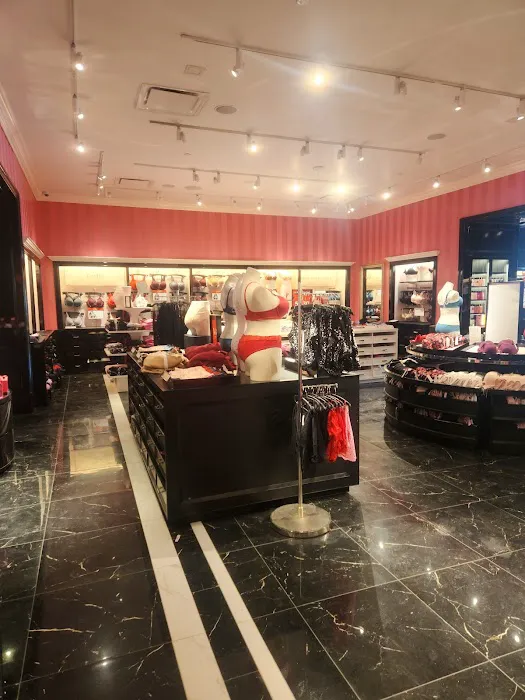Victoria's Secret & PINK by Victoria's Secret 2