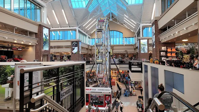 Scheels 1