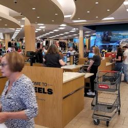 Scheels ico