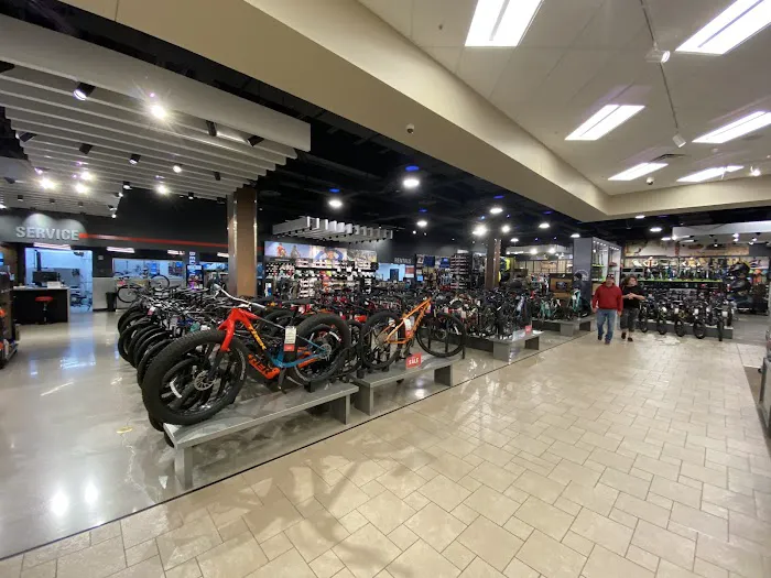 Scheels 4