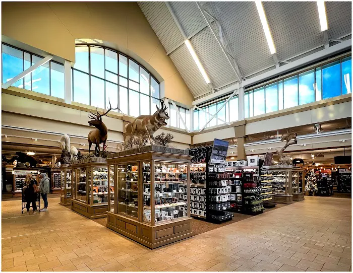 Scheels 5