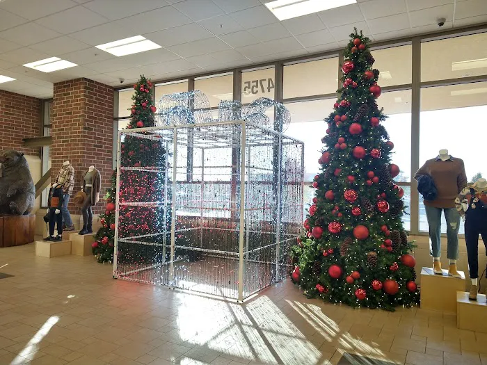 Scheels 3
