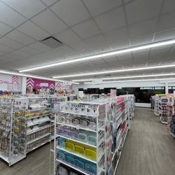 Daiso - Japanese Household Goods ico