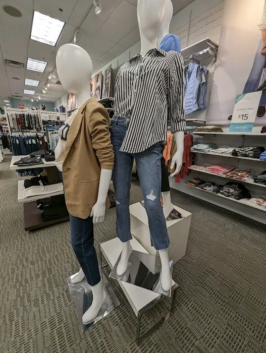 Maurices 7
