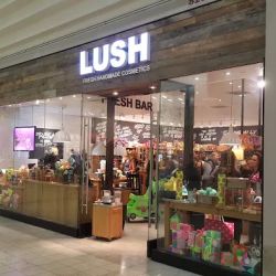 Lush Cosmetics Rosedale Center ico