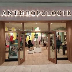 Anthropologie ico