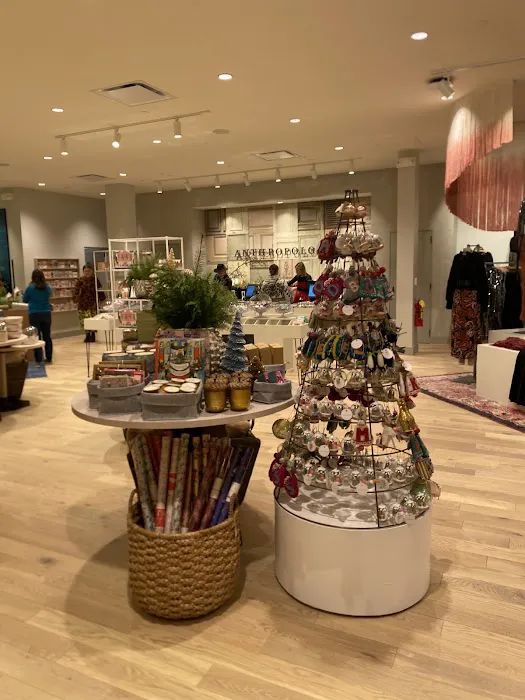 Anthropologie 1