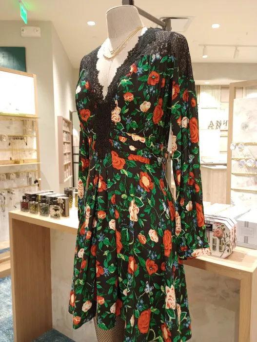 Anthropologie 2