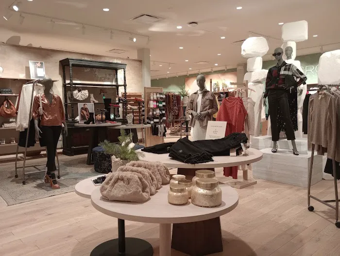 Anthropologie 4
