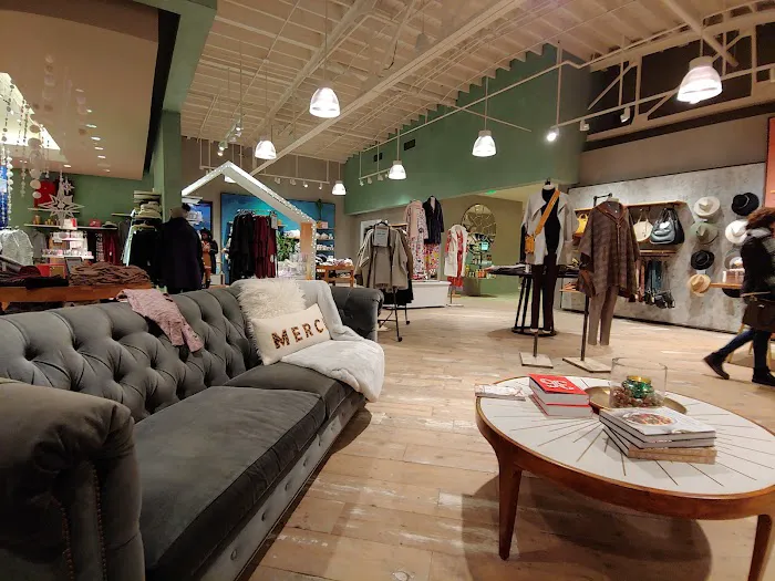 Anthropologie 3