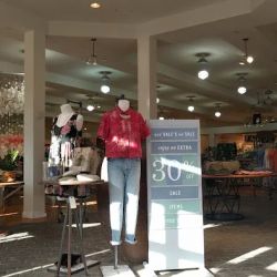 Anthropologie ico