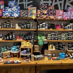Lush Cosmetics Ridgedale Center ico