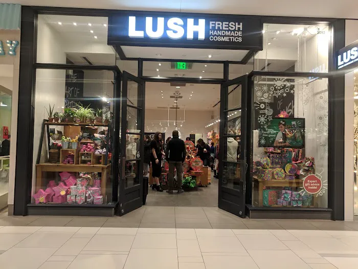 Lush Cosmetics Ridgedale Center 1