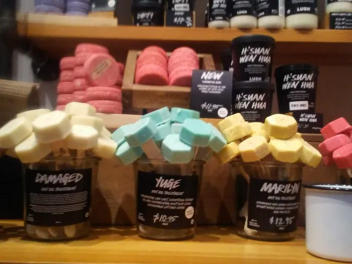 Lush Cosmetics Ridgedale Center 7