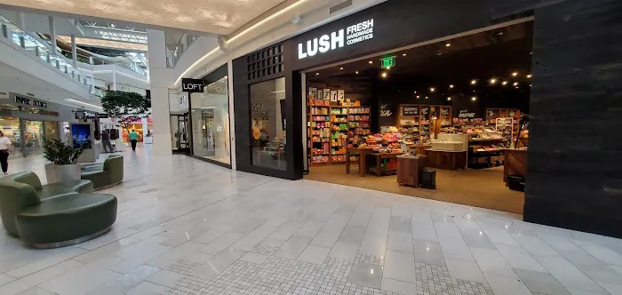 Lush Cosmetics Mall of America 0