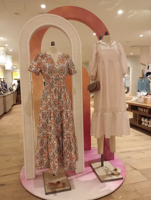 Anthropologie 0