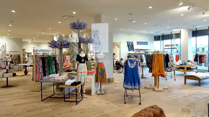 Anthropologie 3