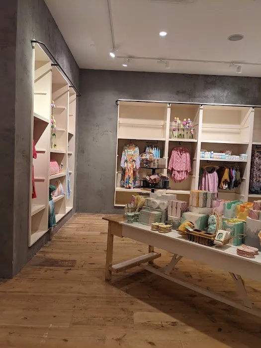 Anthropologie 5