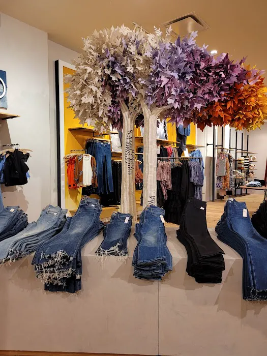 Anthropologie 6