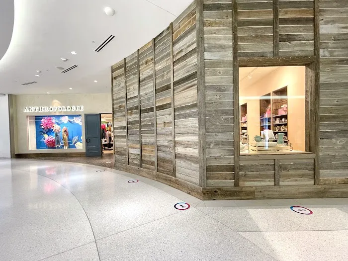 Anthropologie 8