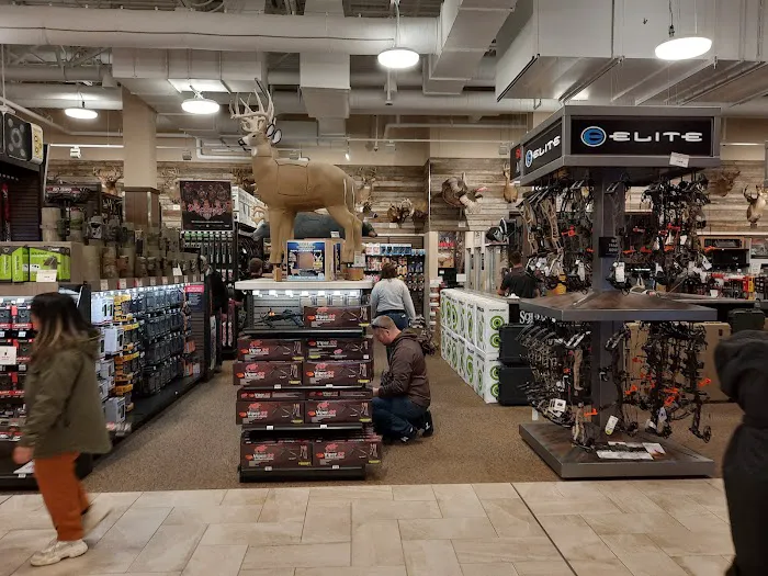 Scheels 0