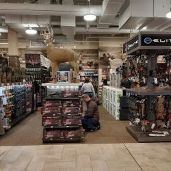Scheels ico