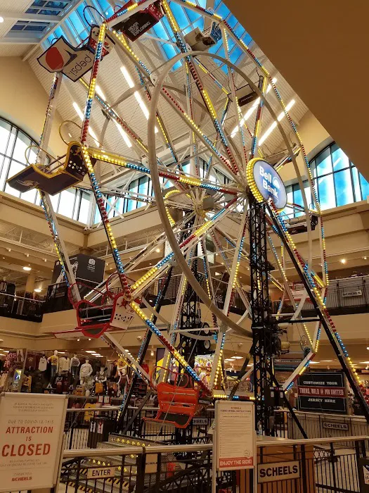 Scheels 8