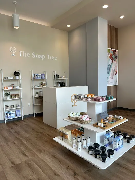 The Soap Tree 2