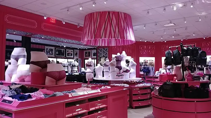 Victoria's Secret & PINK by Victoria's Secret 2