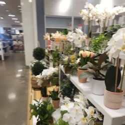 JCPenney ico