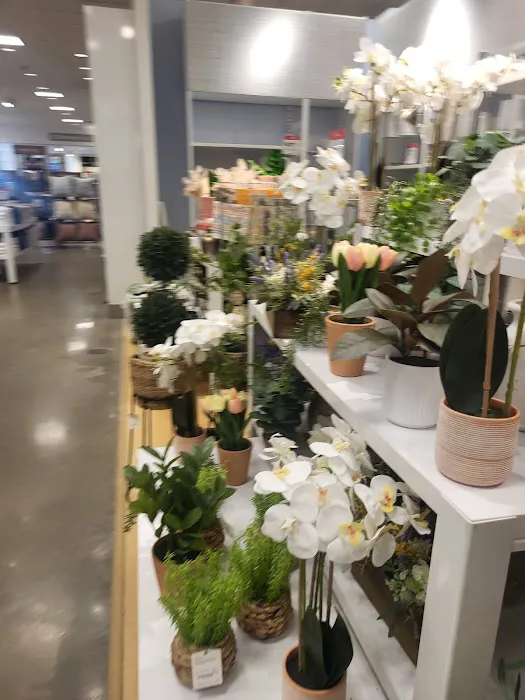JCPenney 5