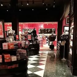 Victoria's Secret & PINK by Victoria's Secret ico