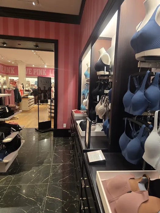 Victoria's Secret & PINK by Victoria's Secret 5