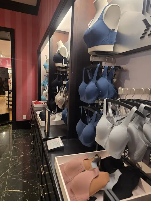 Victoria's Secret & PINK by Victoria's Secret 4