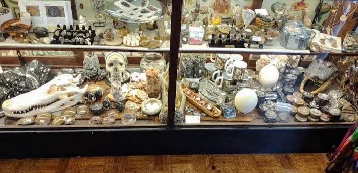Craig's Curious Emporium 2