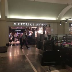Victoria's Secret & PINK by Victoria's Secret ico