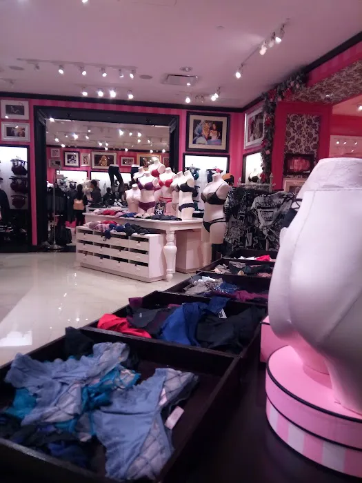 Victoria's Secret & PINK by Victoria's Secret 2