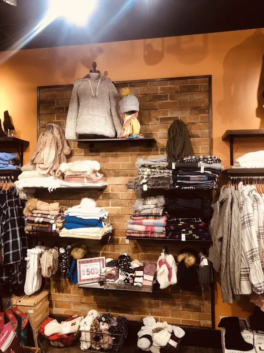 francesca's 7